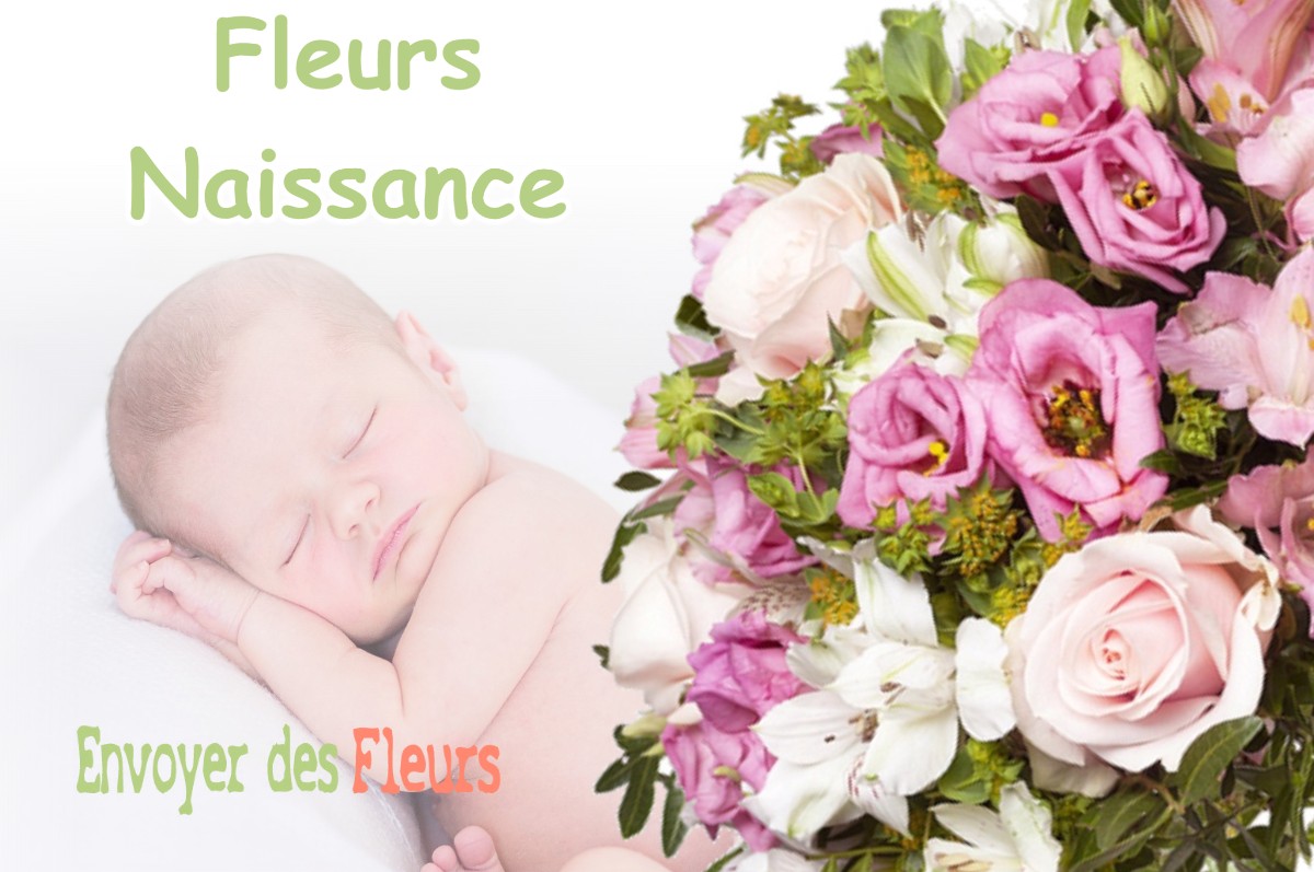 lIVRAISON FLEURS NAISSANCE à VILLENEUVE-DE-MARC